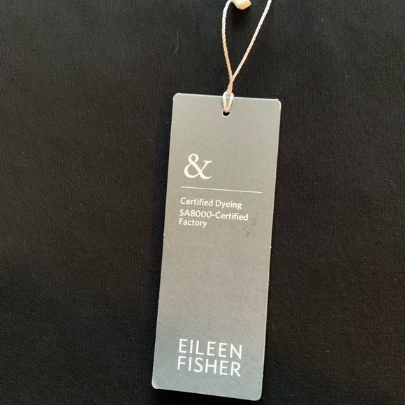 Eileen Fisher Stretch Silk Jersey with Sheer Silk Top NWT - Picture 4 of 7